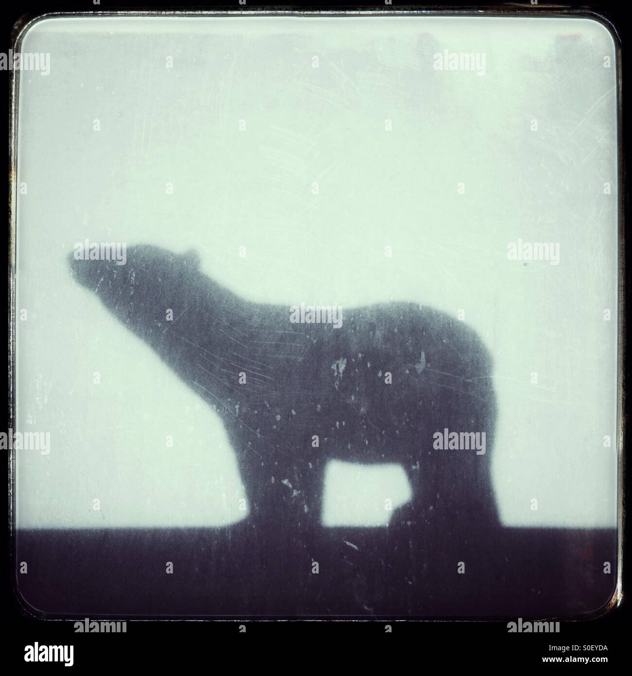 Shadow of a toy Polar Bear - Smartphone Captured Stock Image