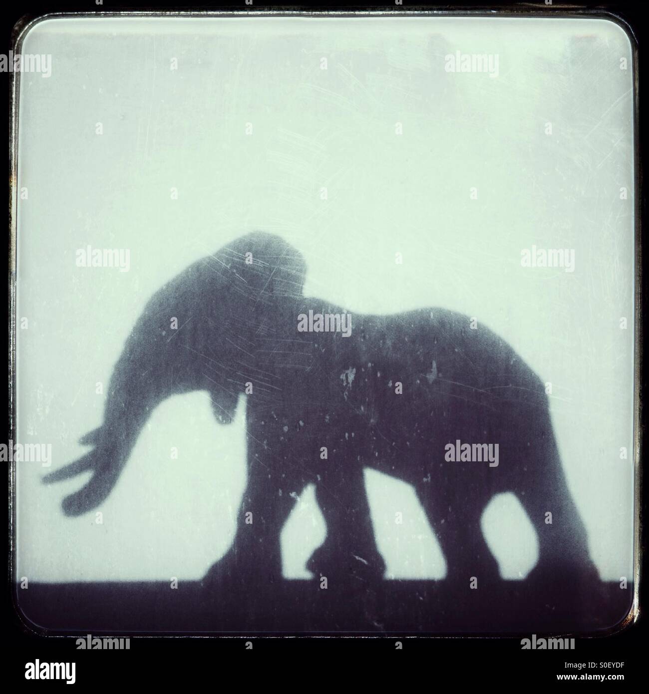 Shadow of a Toy Elephant - Smartphone Captured Stock Image