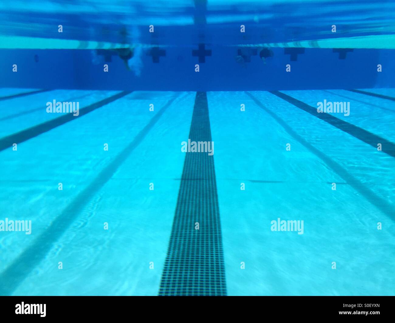 Swimmer's view of the competition - Smartphone Captured Stock Image