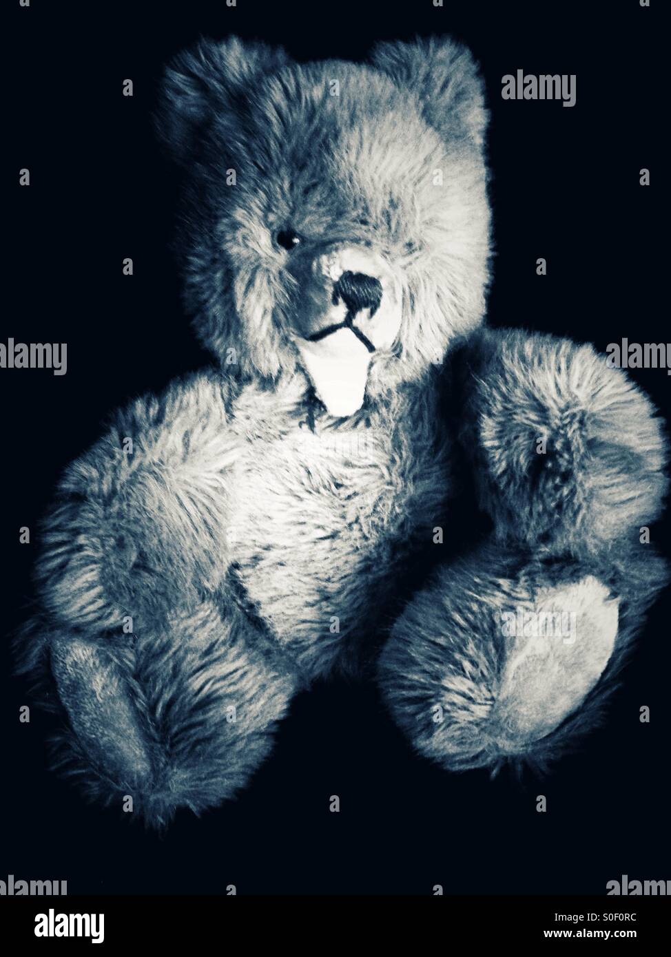 Teddy Bear - Smartphone Captured Stock Image