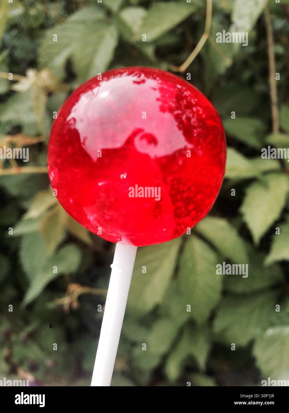 Red lollipop sweet or candy - Smartphone Captured Stock Image