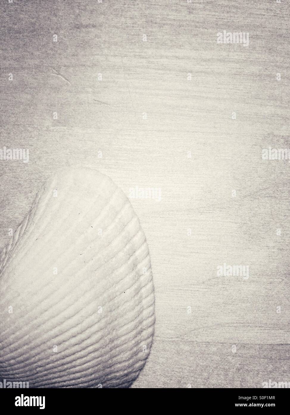 Shell of a mussel on a Wooden Surface - Smartphone Captured Stock Image