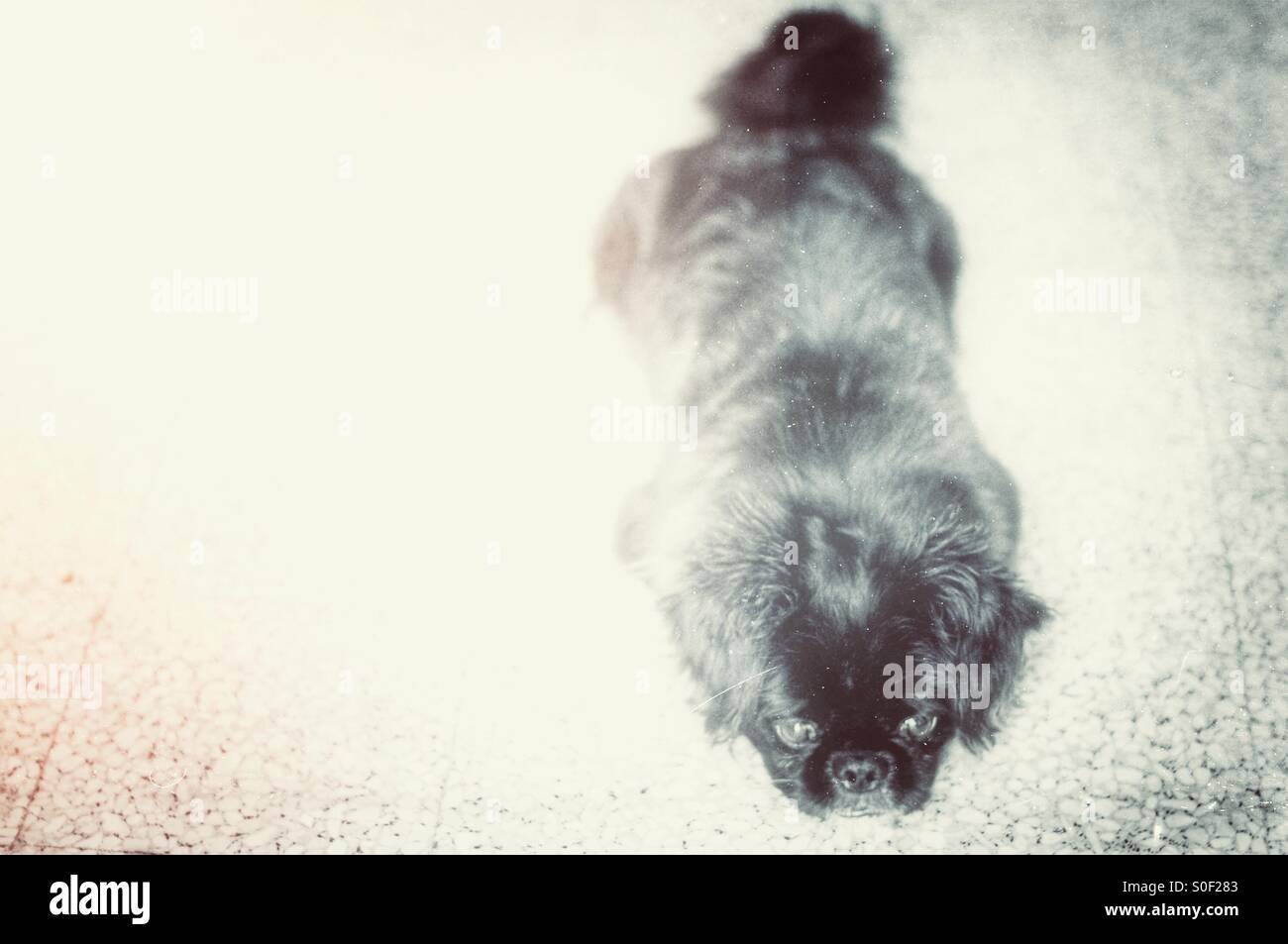 Meditating - Smartphone Captured Stock Image