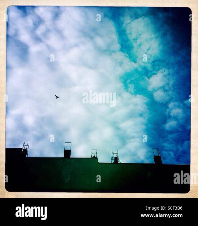 Blue Sky in an urban Scene in Berlin Kreuzberg with White Clouds and a Bird flying over Rooftops with chimneys - Smartphone Captured Stock Image Blue Sky in an urban Scene in Berlin Kreuzberg with White Clouds and a Bird flying over Rooftops with chimneys - Smartphone Captured Stock Image