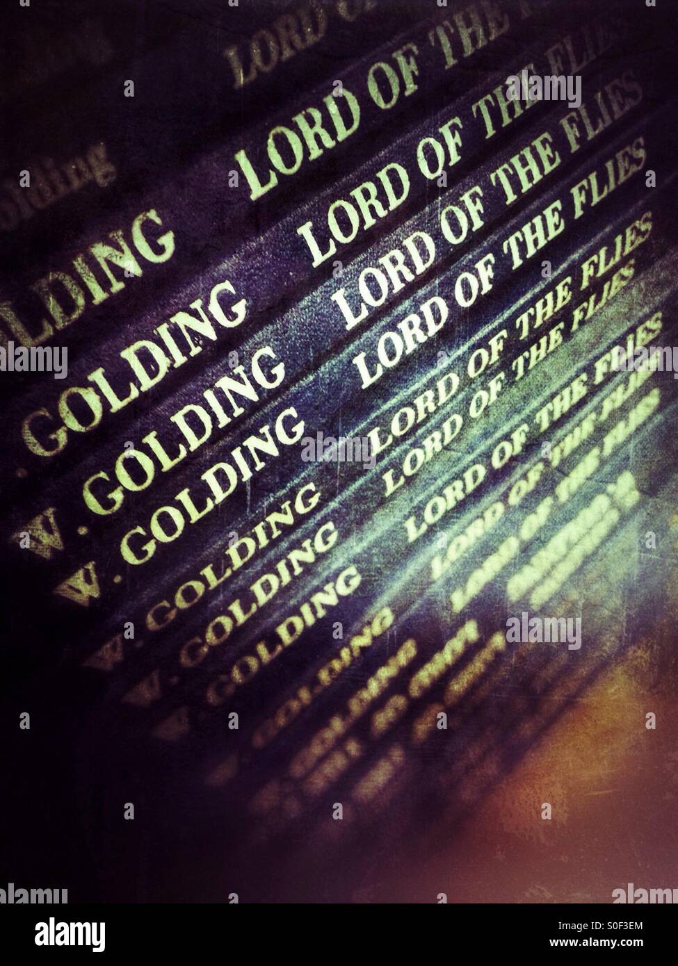 A Pile of the Classic Book Lord of the flies by William Golding in a School Library for a Class of Students to read - Smartphone Captured Stock Image