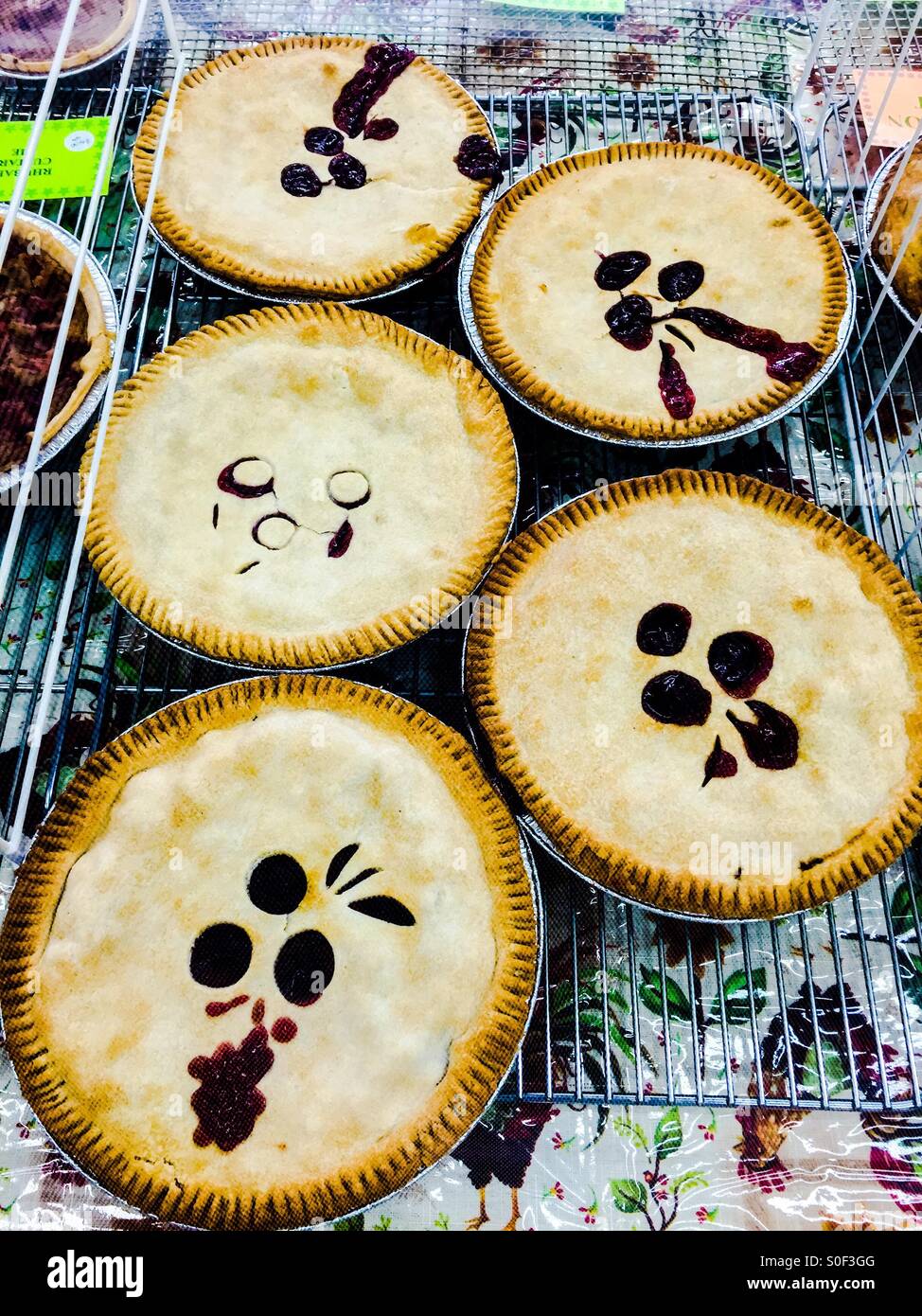 Pies - Smartphone Captured Stock Image