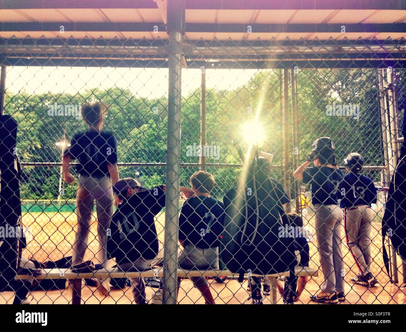 Boys in the dugout - Smartphone Captured Stock Image