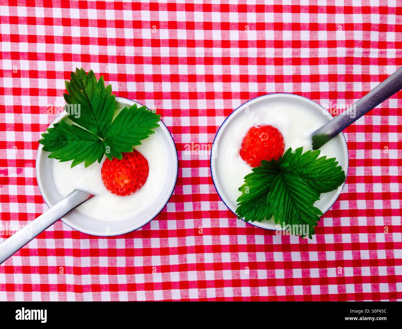 Natural unsweetened Greek yogurt with strawberry's Stock Photo Alamy