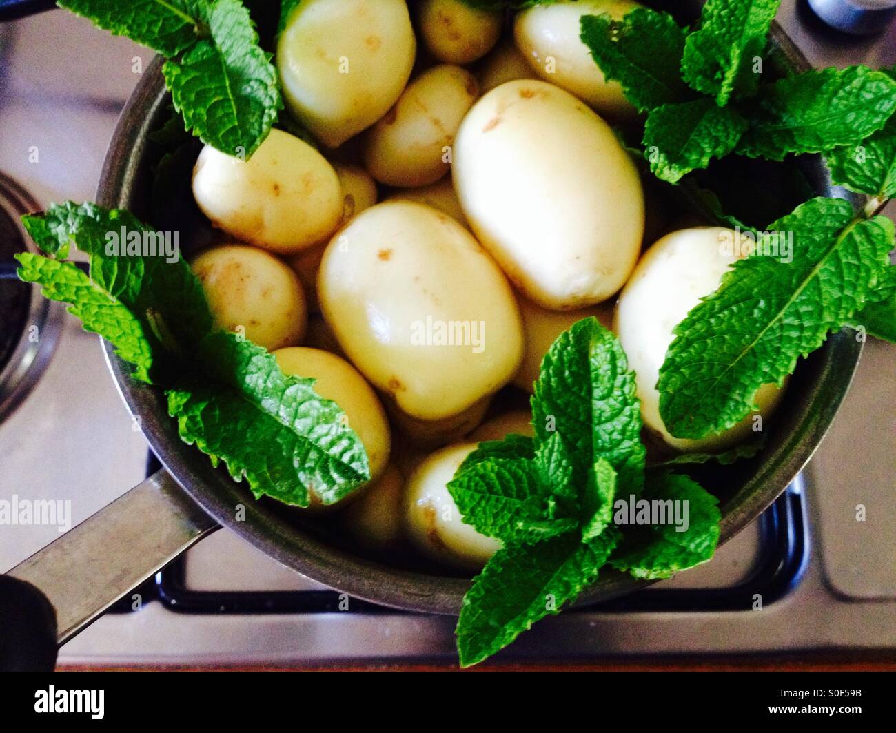 Garden new potatoes in saucepan and mint leaves - Smartphone Captured Stock Image