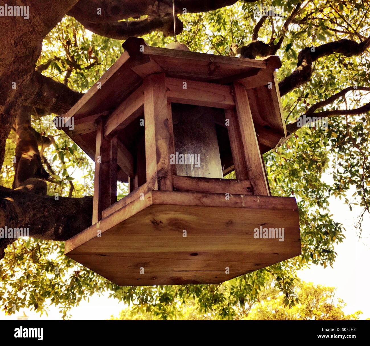 Hexagonal redwood bird feeder hanging from. California oak tree - Smartphone Captured Stock Image
