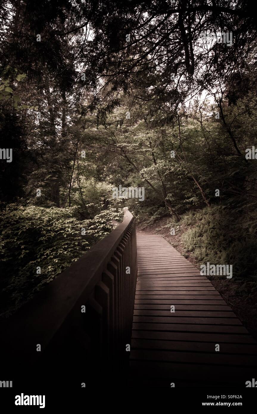 Hiking in Belfountain national park Stock Photo Alamy