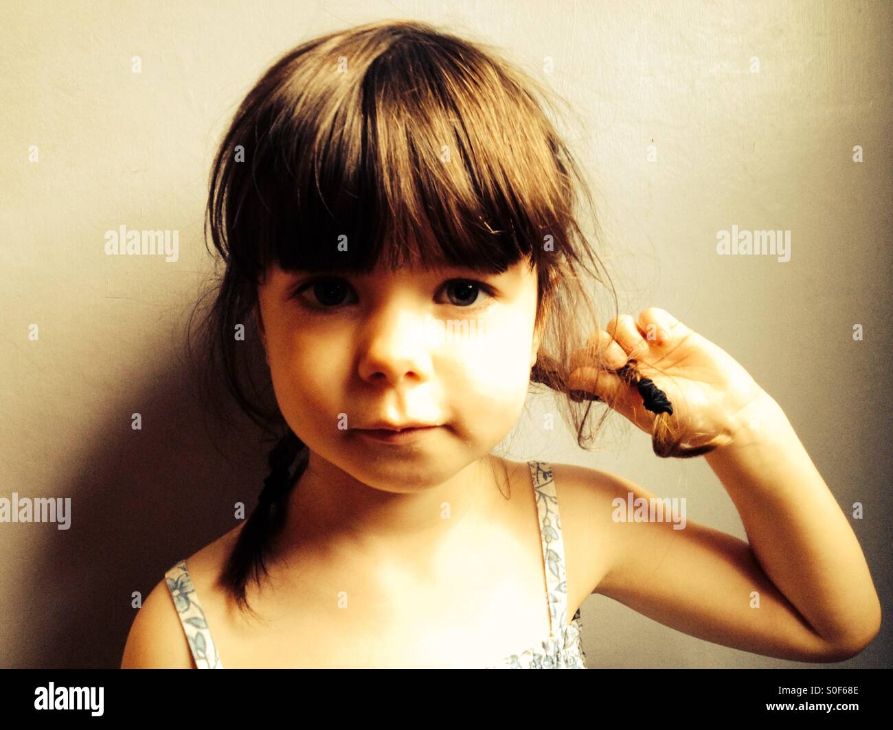 3 Year Old Girl With Pigtails In Her Hair Stock Photo 310120846