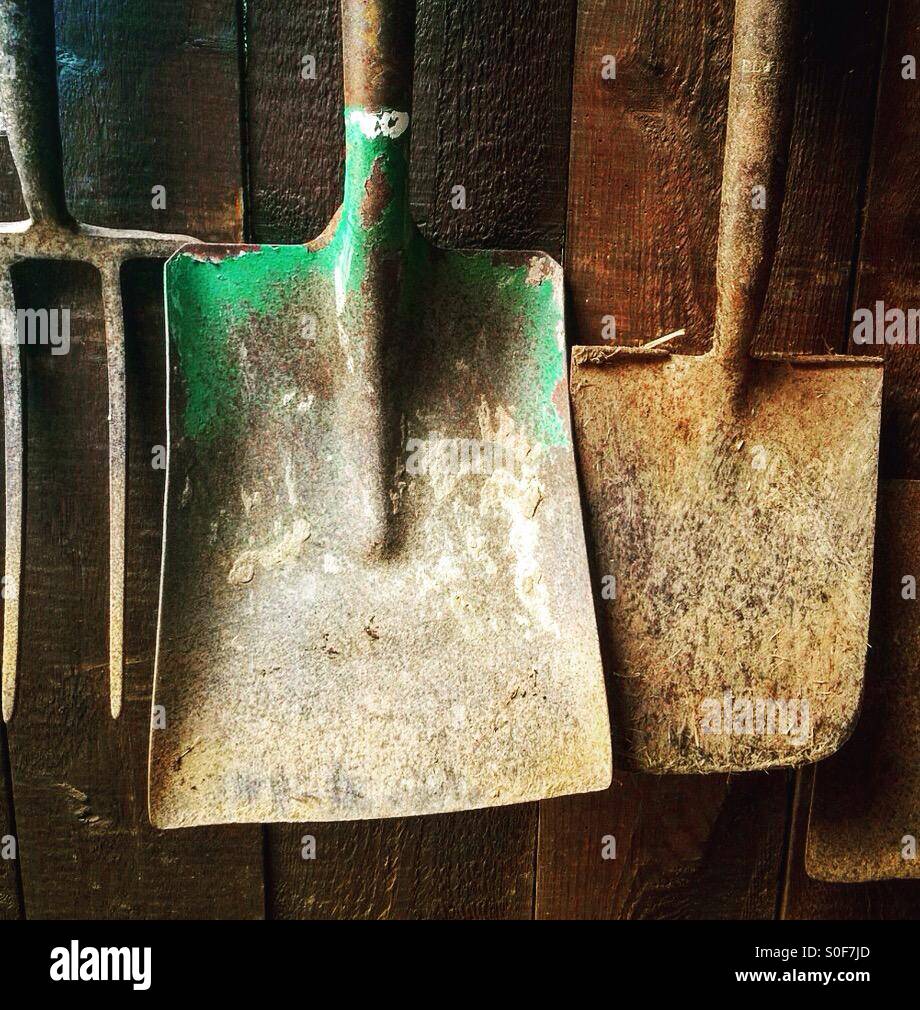 Gardening tools - Smartphone Captured Stock Image