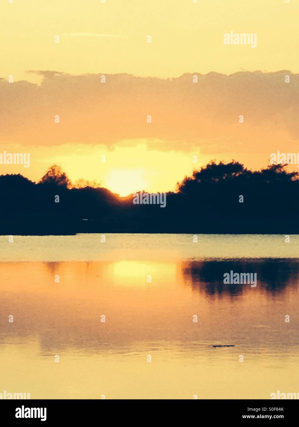 Bright yellow sunset over the florida Everglades Stock Photo