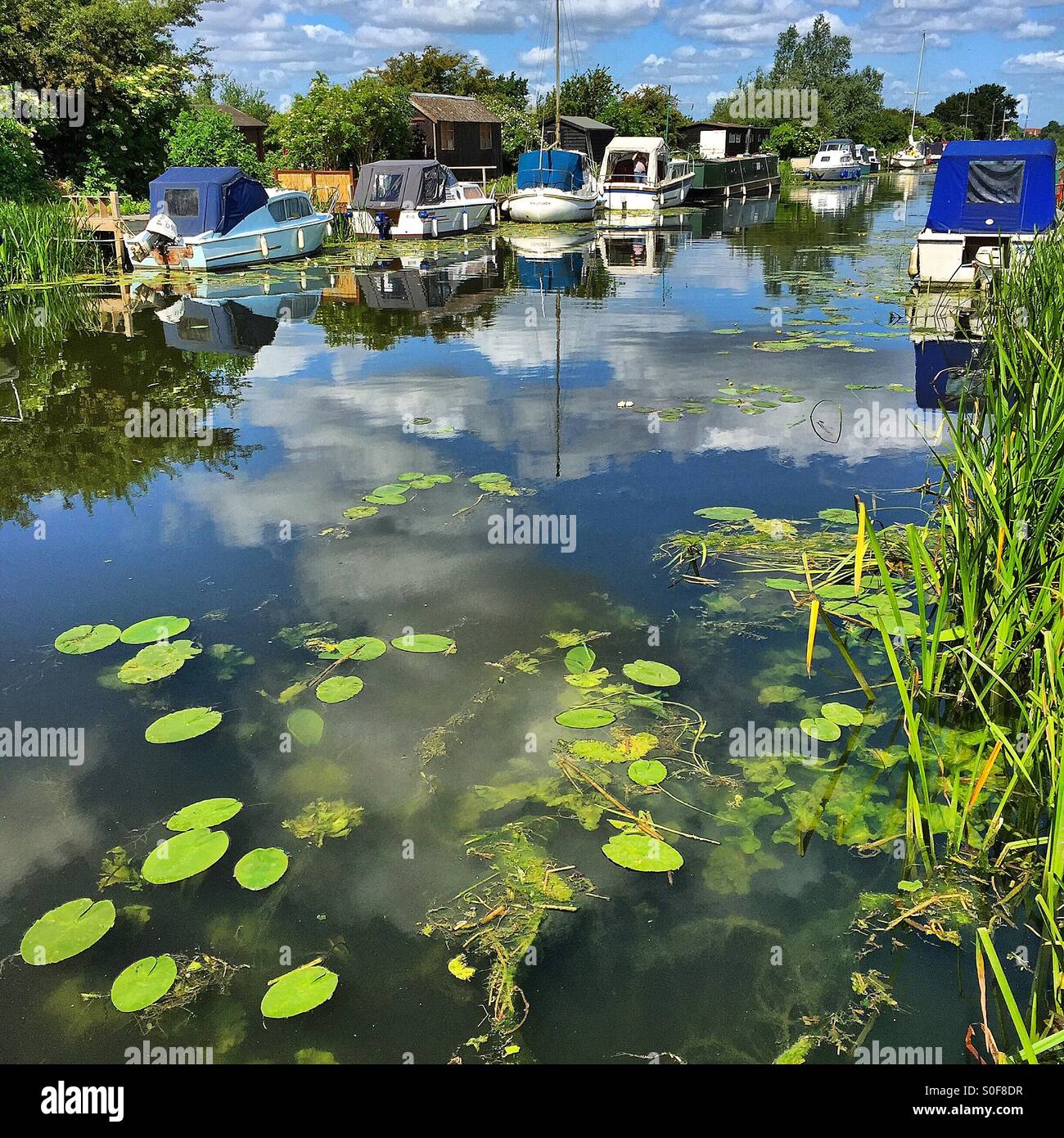 Boats and Lily's on a canal at Heybridge Basin, Maldon, Essex. - Smartphone Captured Stock Image