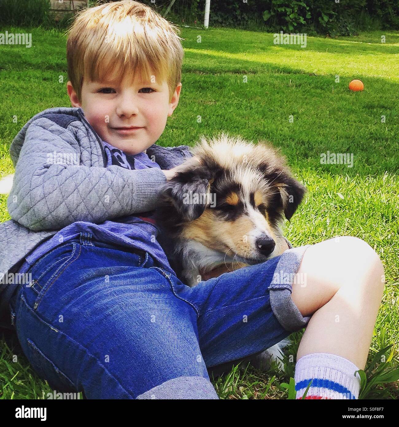 Best friends. A boy and his puppy Stock Photo Alamy