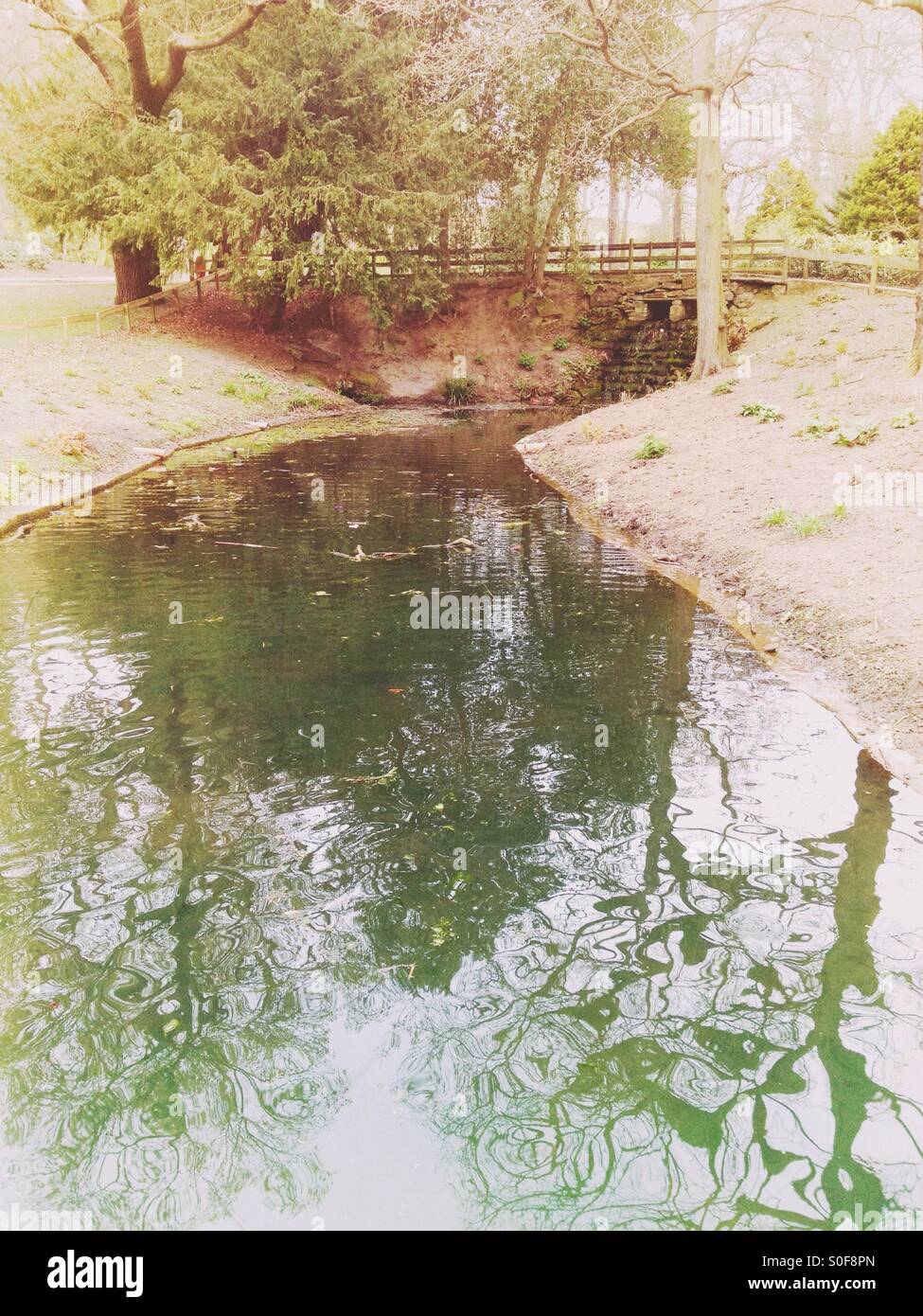 Bridge over lake - Smartphone Captured Stock Image