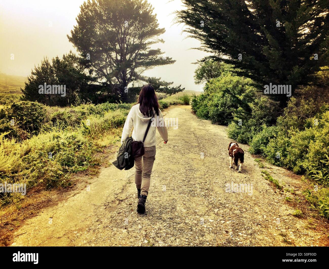 Young woman walking dog through fog on Northern California coastal trail. - Smartphone Captured Stock Image