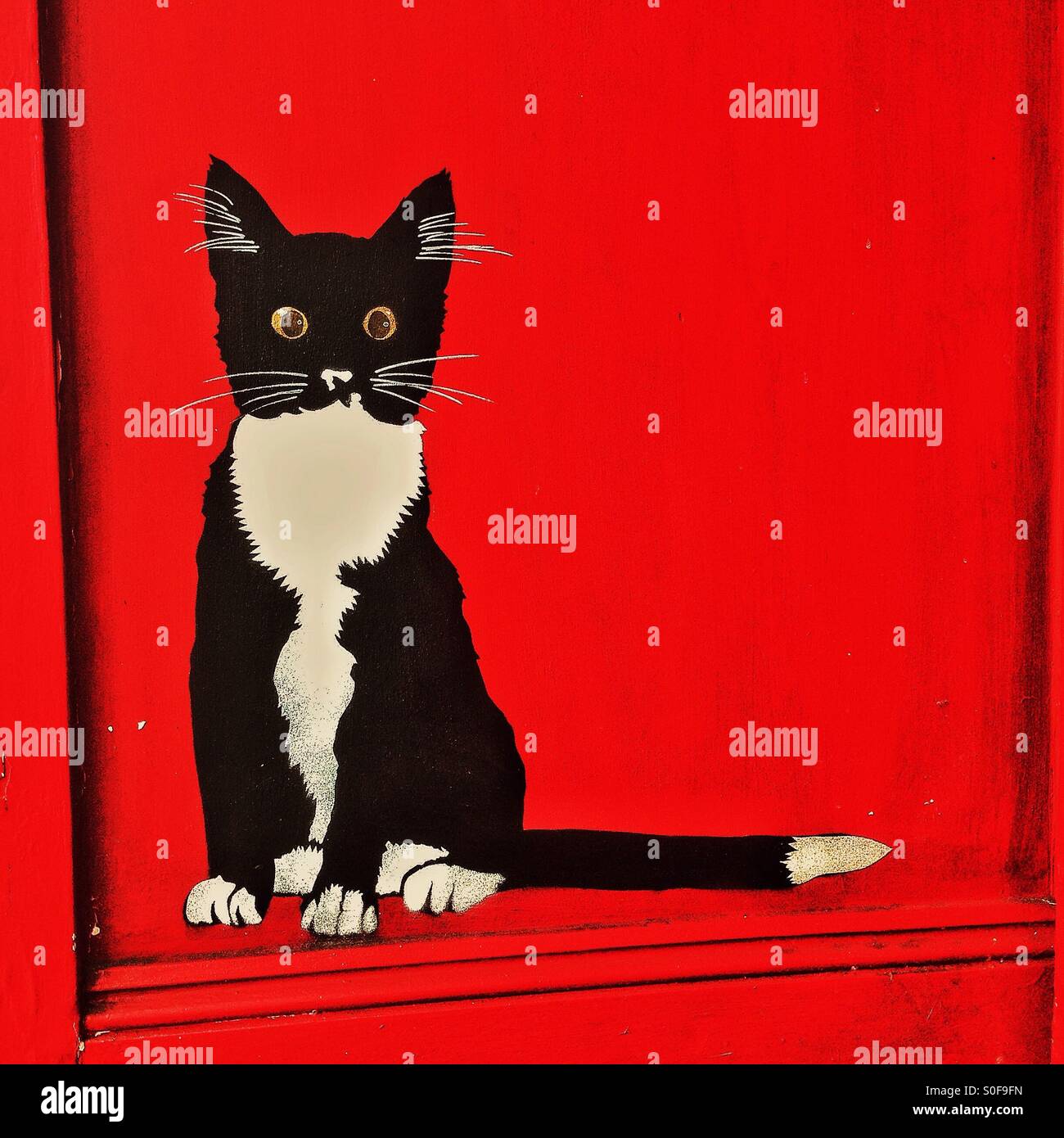 Black Cat Street Art - Smartphone Captured Stock Image