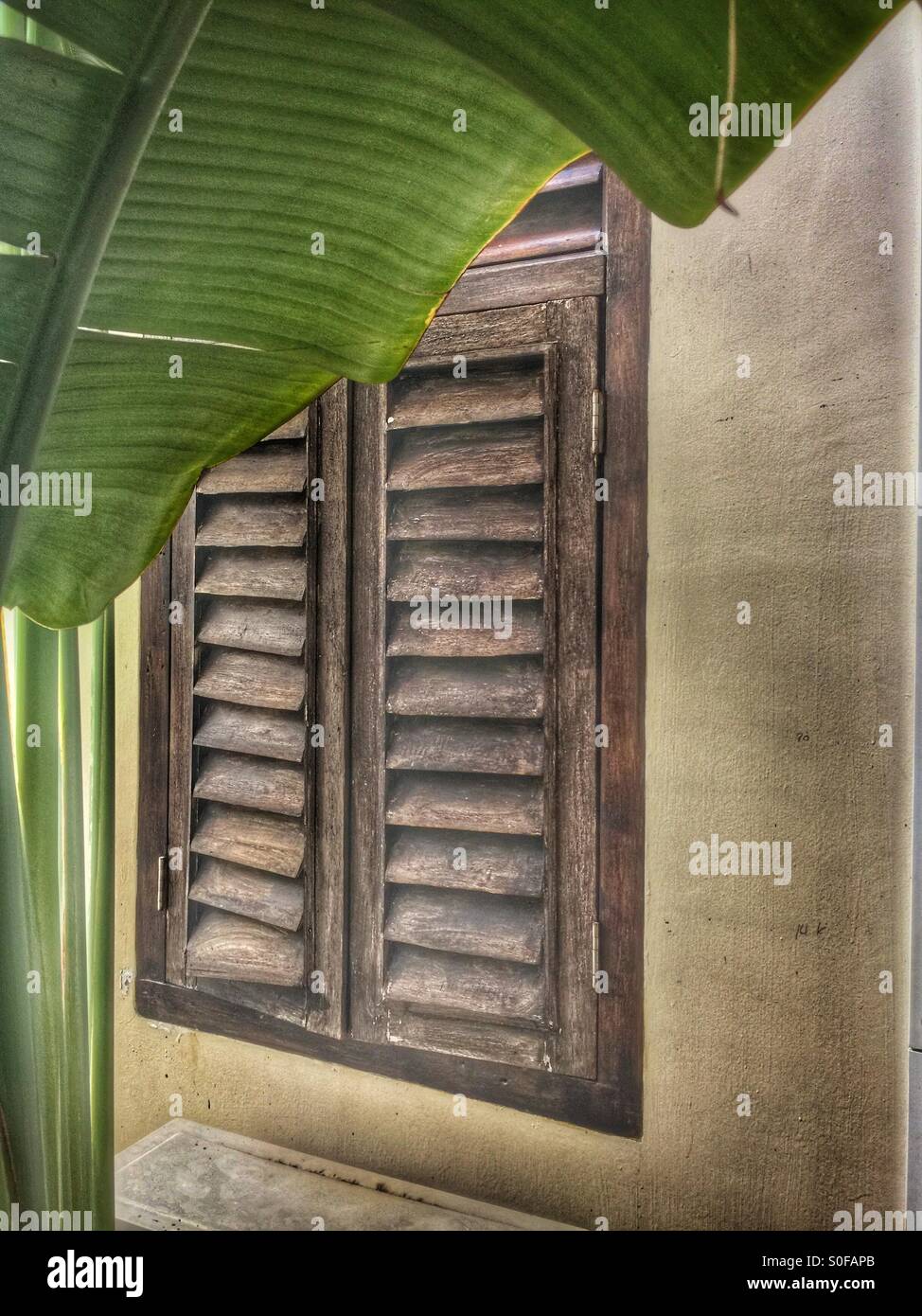 A century old window. - Smartphone Captured Stock Image