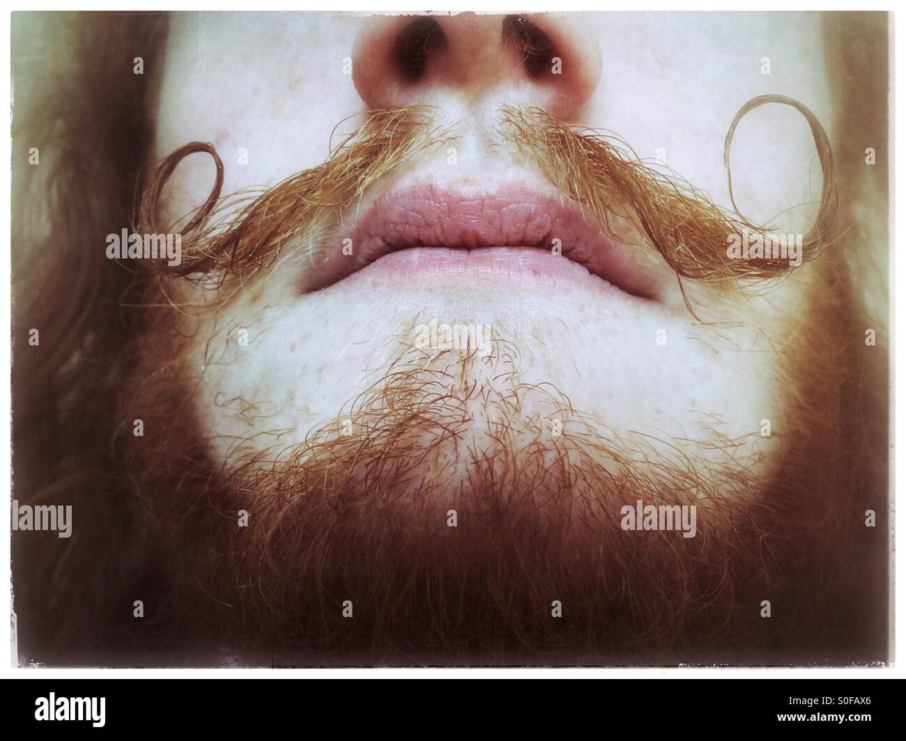 Man with red hair and waxed moustache Stock Photo Alamy