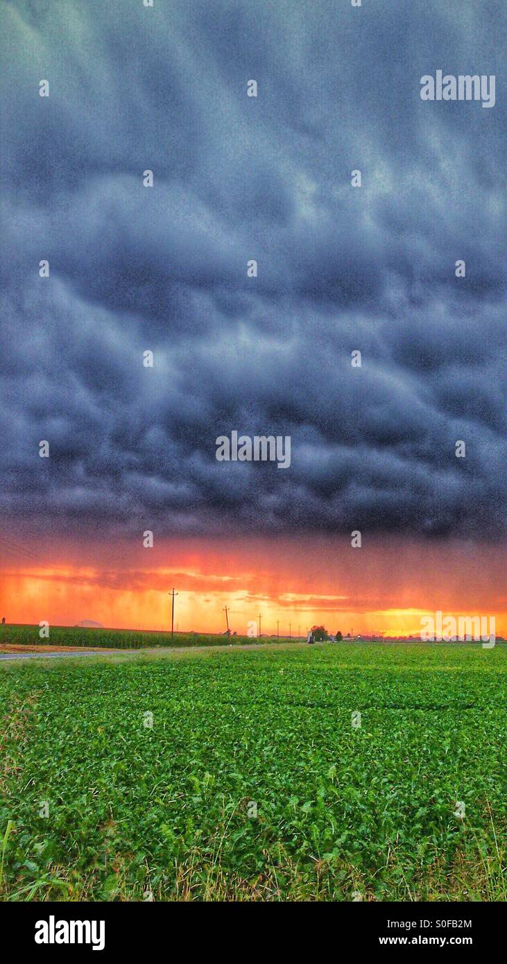 Storm at sunset in the fields - Smartphone Captured Stock Image