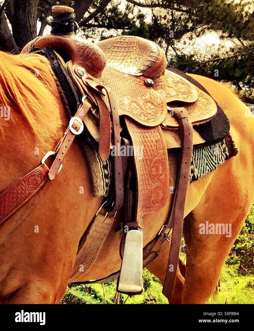 Detailed portrait of Western saddle, bridle, stirrups, and blanket on a long maned sorrel chestnut stallion. Stock Photo