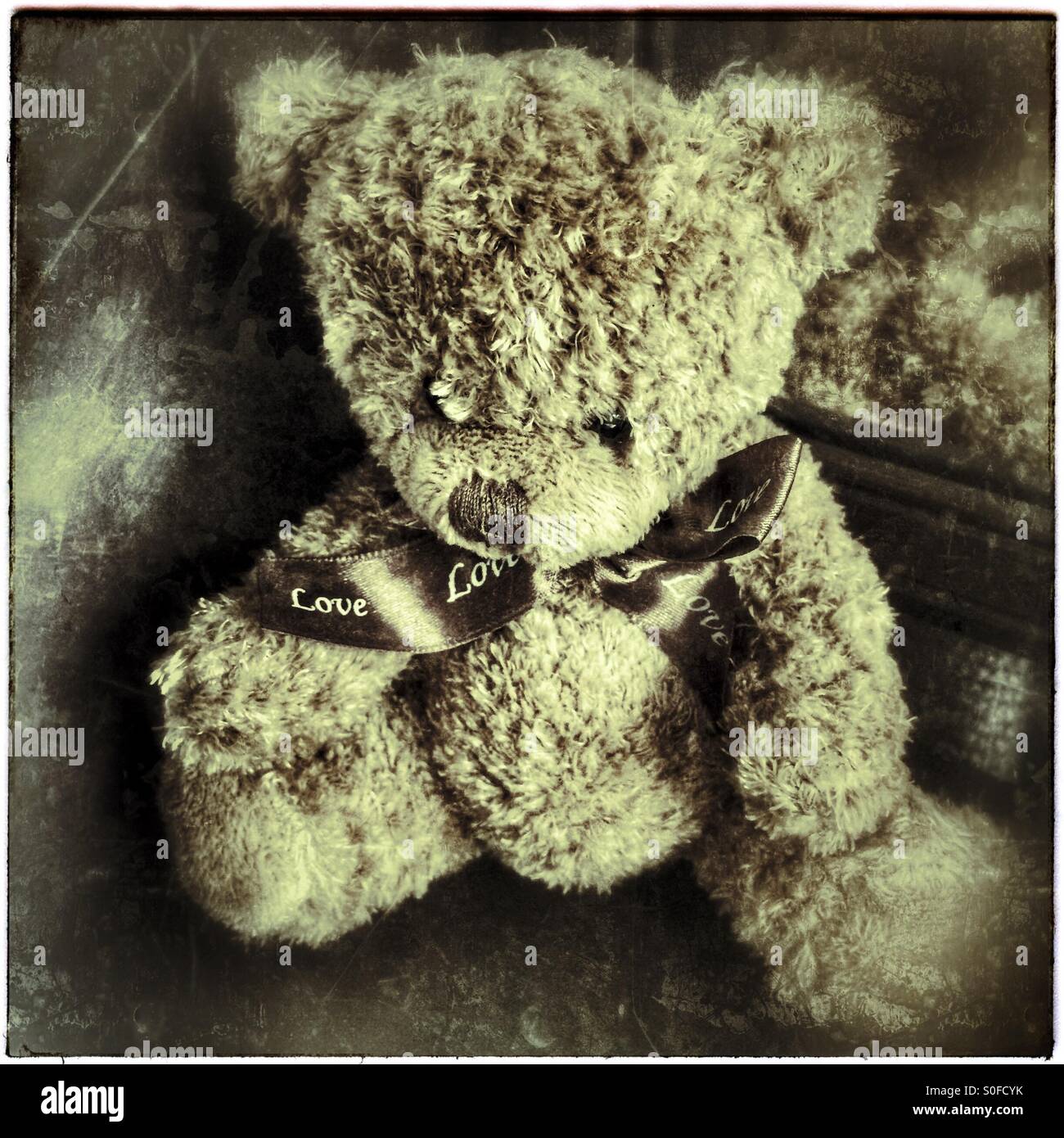 Small teddy bear . - Smartphone Captured Stock Image