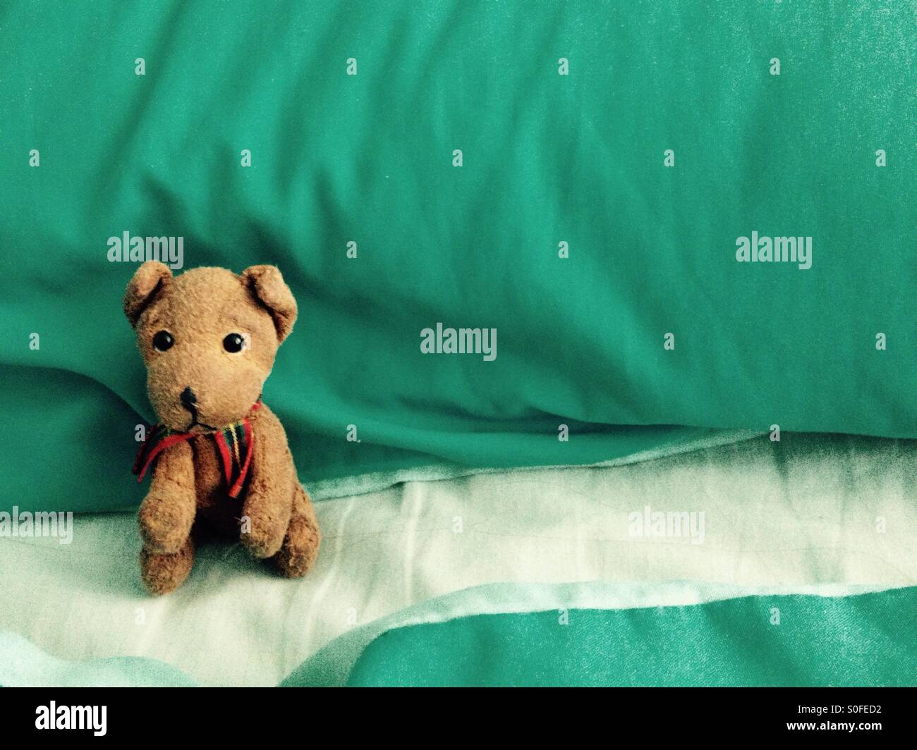 Small child's cuddly dog in a bed - Smartphone Captured Stock Image