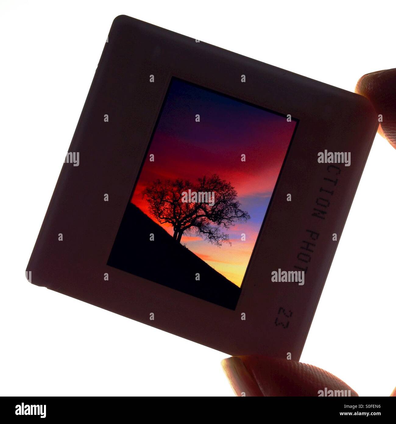 Backlit 3mm slide - Smartphone Captured Stock Image