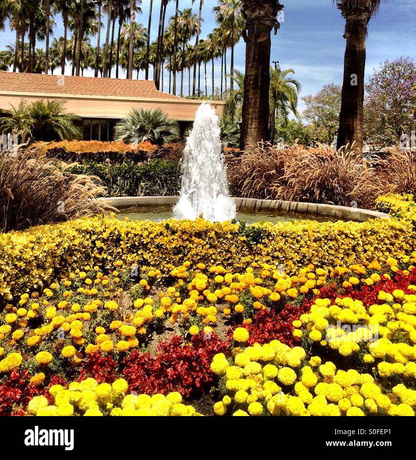 Fountain, flowers, palm trees, Los Angeles Stock Photo