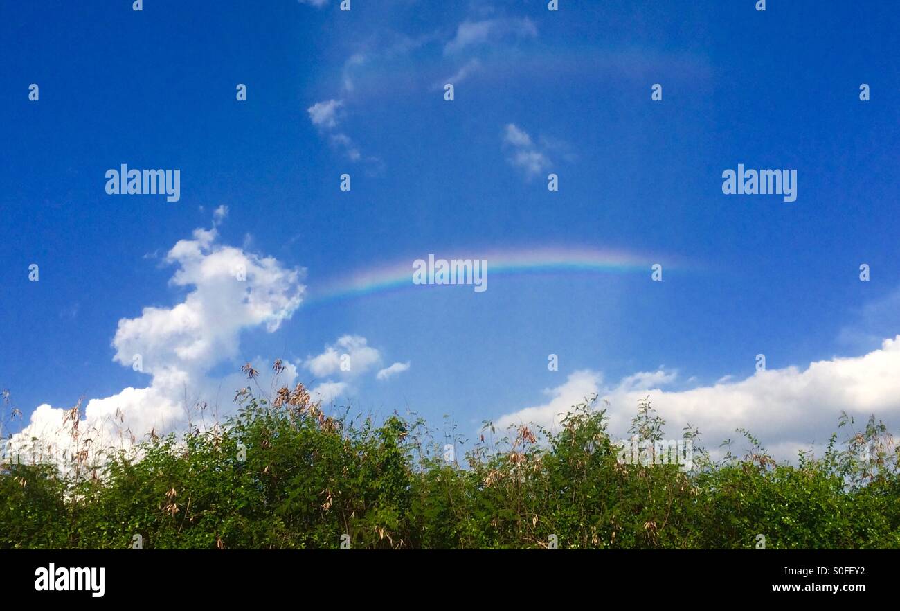 Rainbow with blue sky and clouds Stock Photo - Alamy