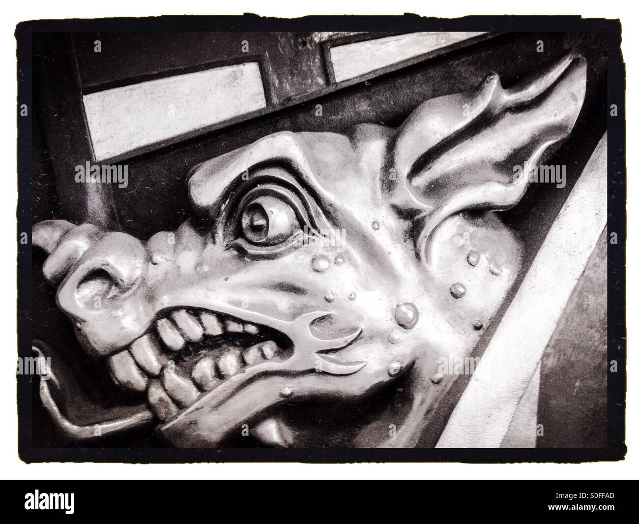 Dragon Head - Smartphone Captured Stock Image