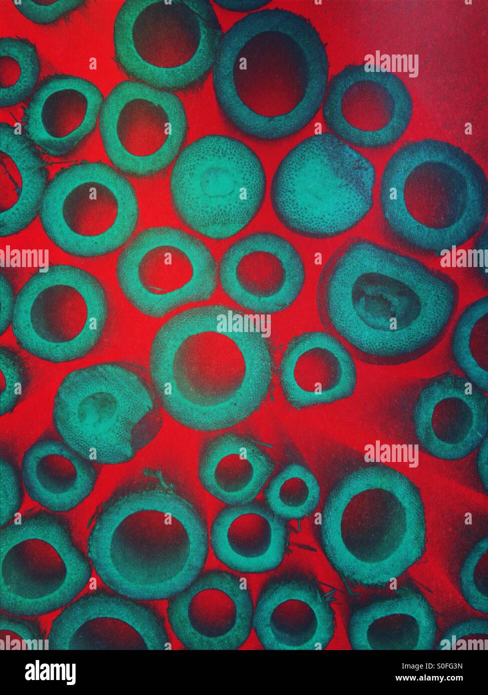 Wooden tubes with art effect - Smartphone Captured Stock Image