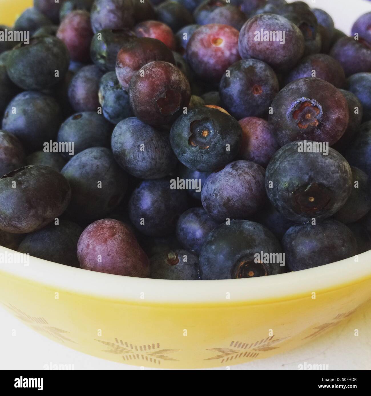 Blueberries Stock Photo