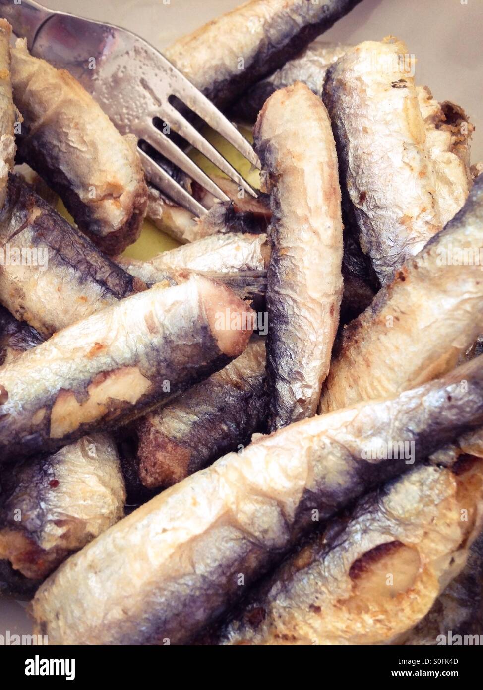 Baked sardines and anchovies in olive oil close up Stock Photo