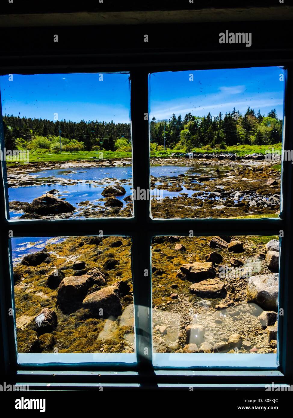 Window on the sea. Maritime scene on a blue sky day. In four panels. Rocks. Seaweed. Water. Greenery. - Smartphone Captured Stock Image