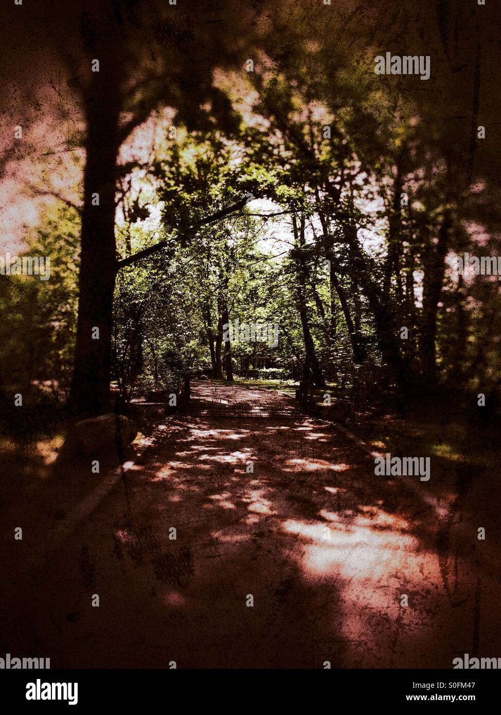 Green path with vision at end - Smartphone Captured Stock Image