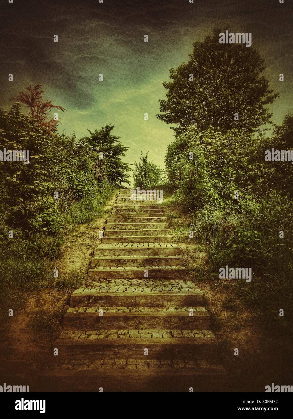 Steps in the countryside - Smartphone Captured Stock Image Steps in the countryside - Smartphone Captured Stock Image