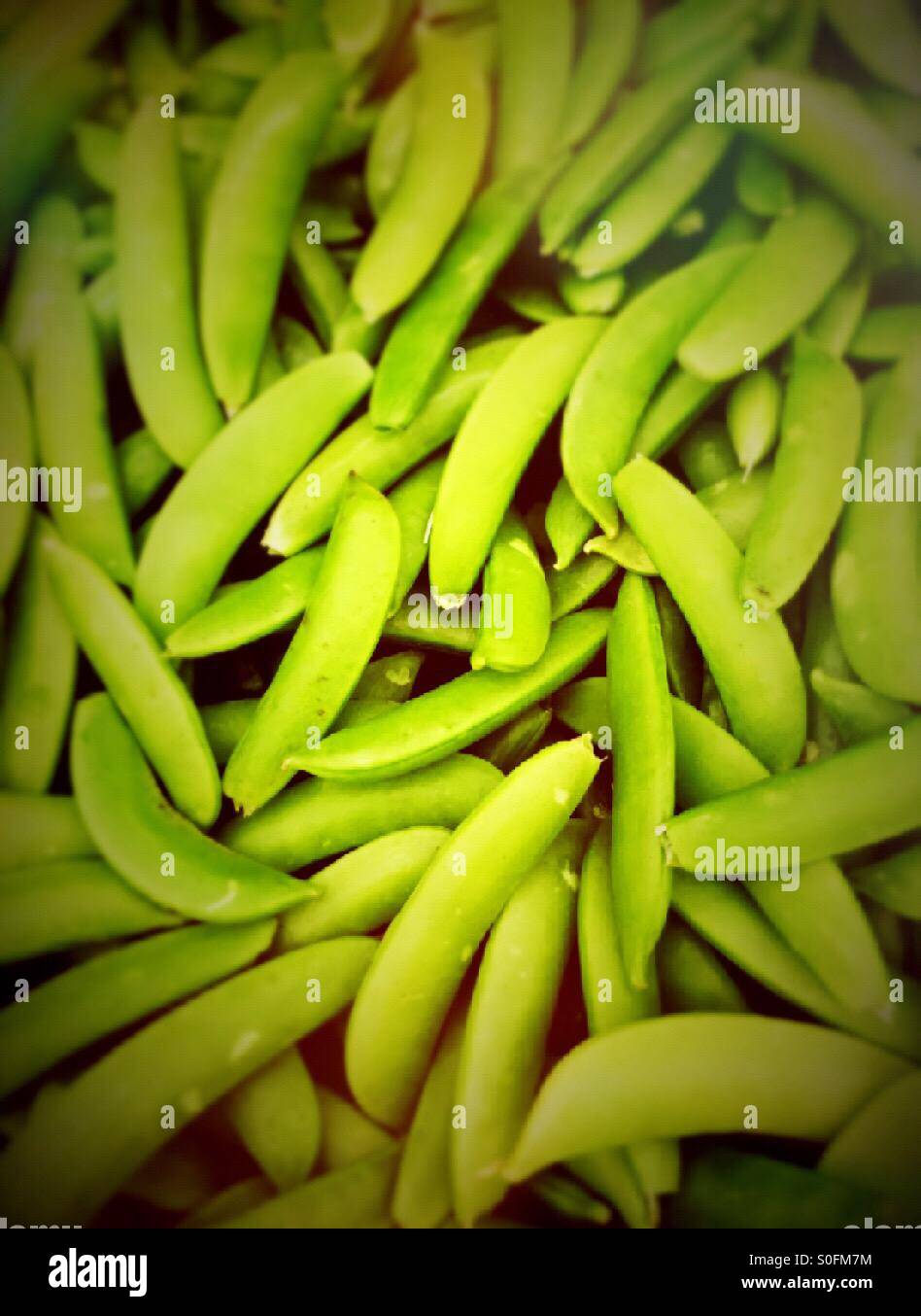 Snap peas in bin in grocery store produce section - Smartphone Captured Stock Image