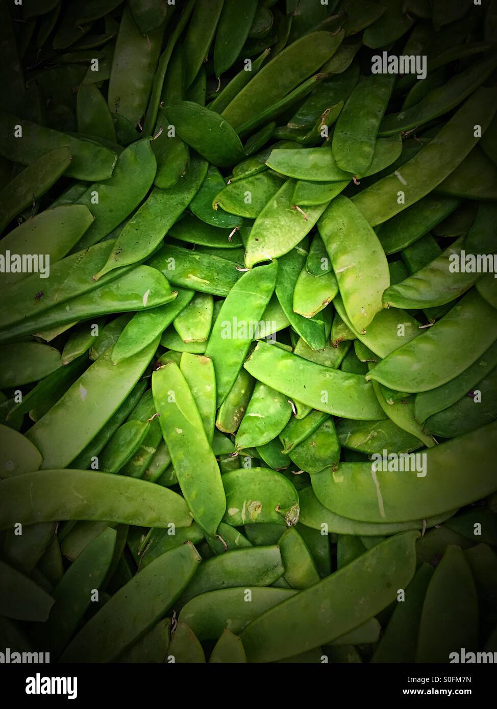 Snow peas in produce bin in grocery store - Smartphone Captured Stock Image