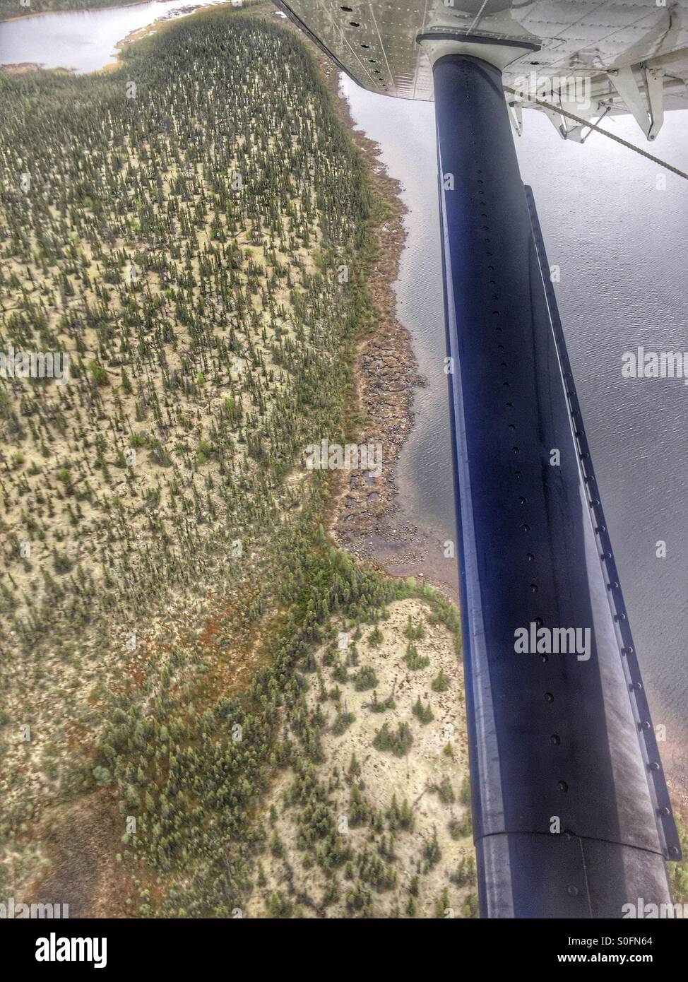 A single engine Otter float plane banks right at 2000 feet above the Boreal forest in northern Canada. Stock Photo