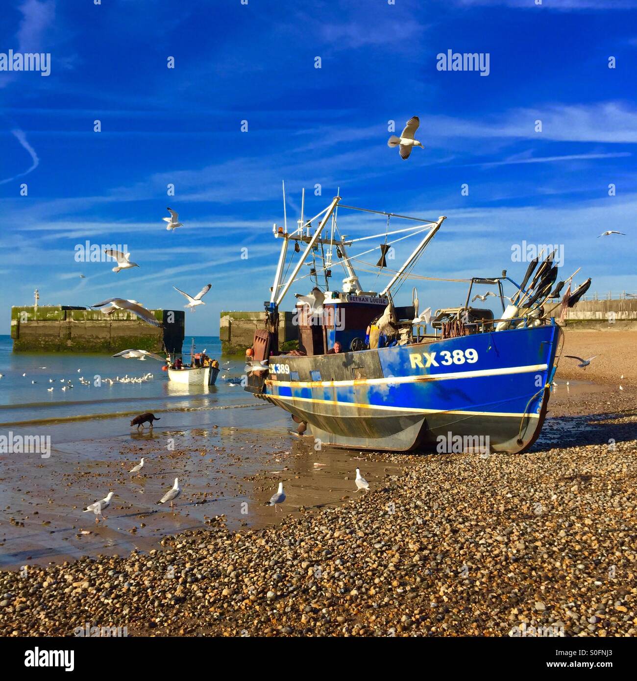 Hastings fishing boats unloading catch of the day on the Stade beach - Smartphone Captured Stock Image