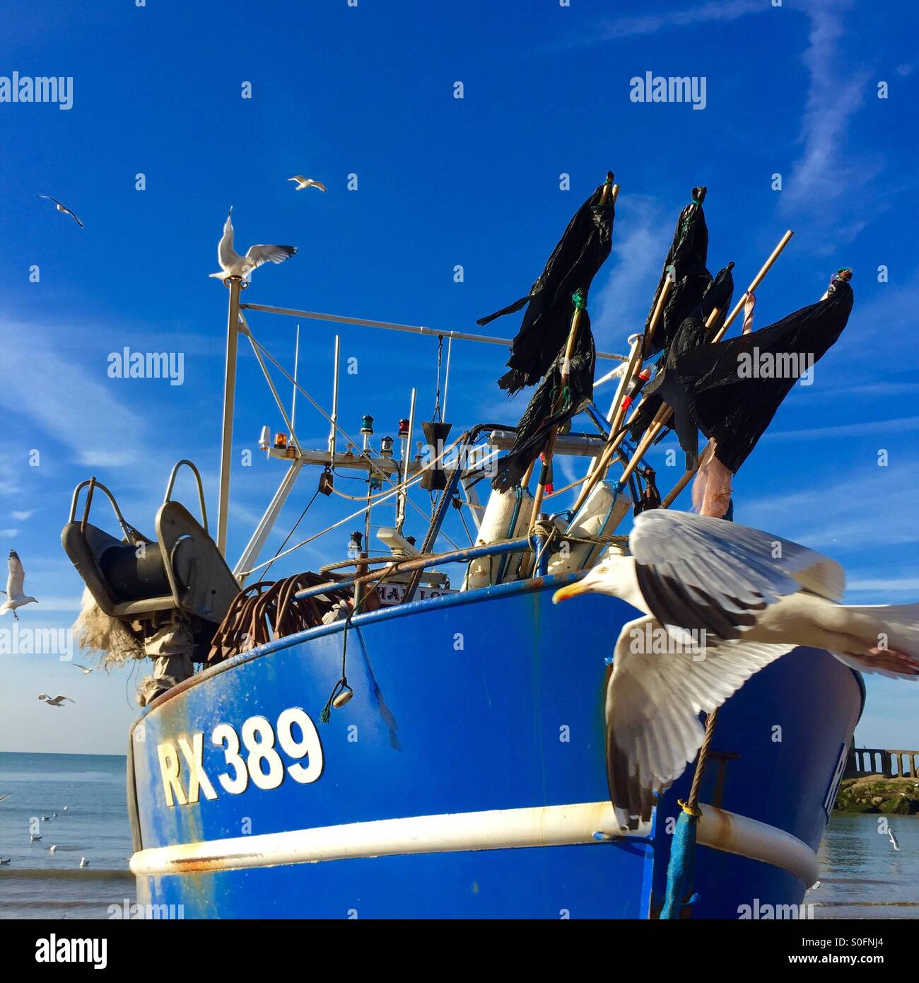 Seagull flying past Hastings fishing boat, East Sussex, UK - Smartphone Captured Stock Image