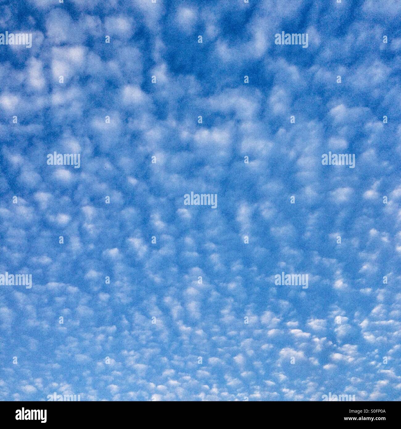 Altocumulus cloud formation, Hampshire, England, United Kingdom. - Smartphone Captured Stock Image
