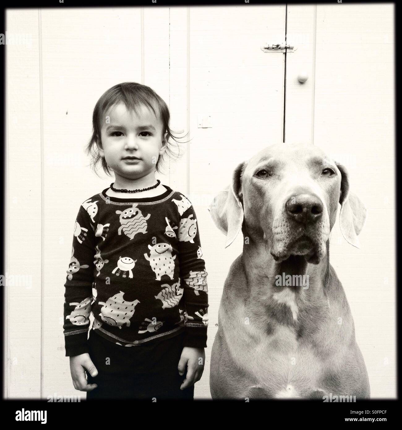 Black & white portrait of a boy and his Weimaraner dog Stock Photo