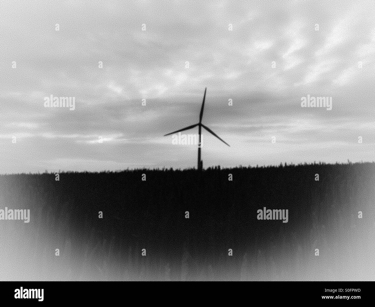 Field in wind Black and White Stock Photos & Images - Alamy