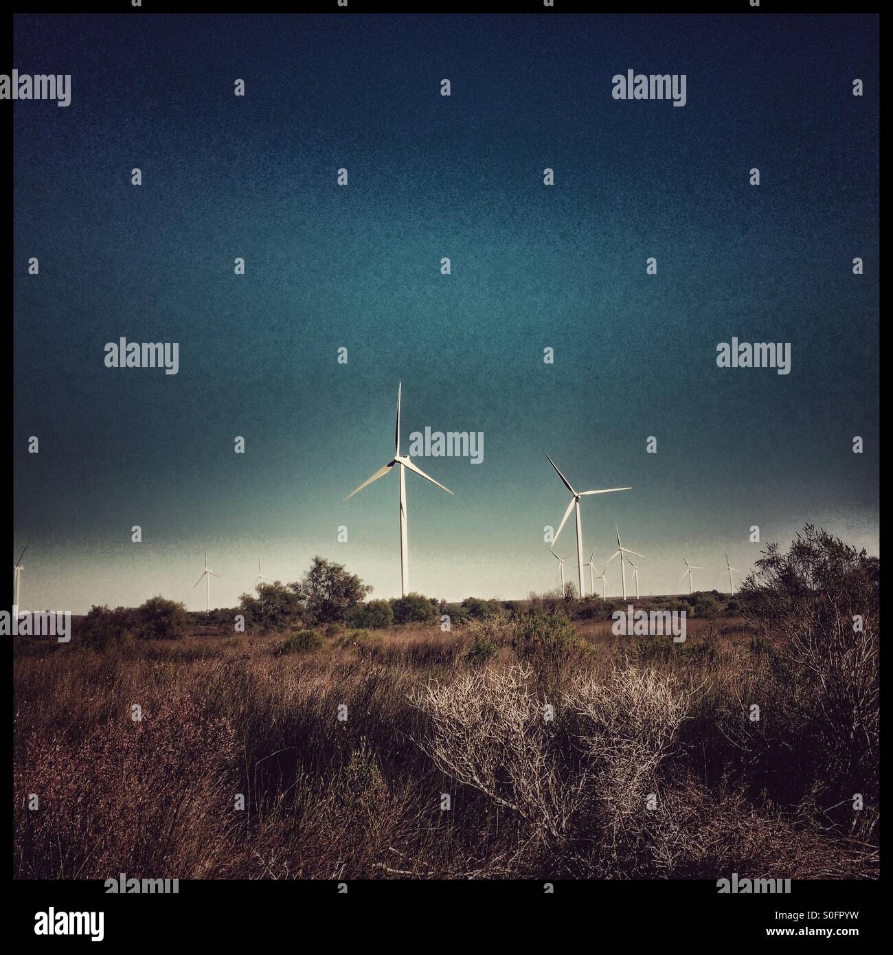 Wind farm in Western Cape Province , South Africa. - Smartphone Captured Stock Image