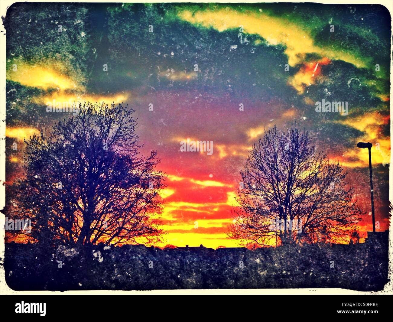 Sunset over park, Greenford, London Borough of Ealing, West London, England, United Kingdom, Europe Stock Photo