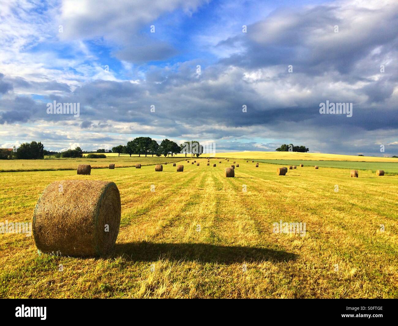 Harvest time - summer landscape after storm - Smartphone Captured Stock Image